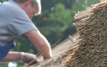 professional Swarister thatchers