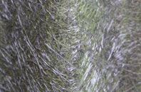 Swarister fibreglass roof work